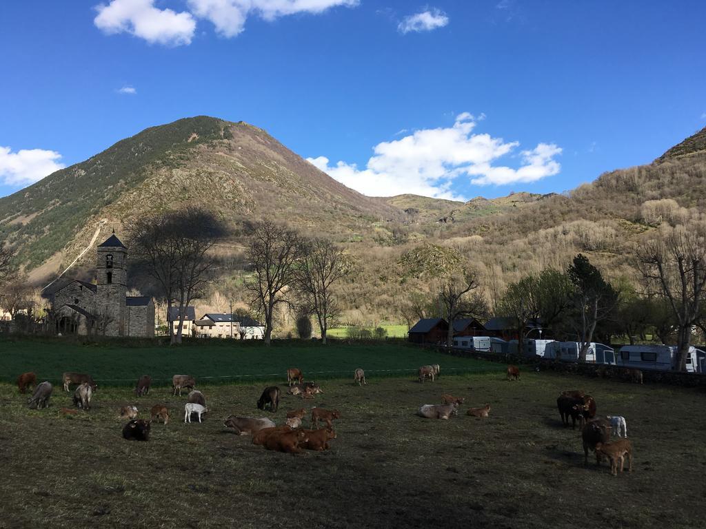Camping Boneta Barruera Esterno foto